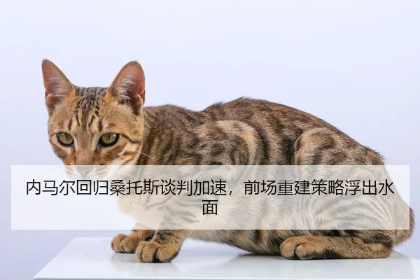 nei-ma-er-hui-gui-sang-tuo-si-tan-pan-jia-su-qian-chang-chong-jian-ce-lve-fu-chu-shui-mian-2-147.jpg