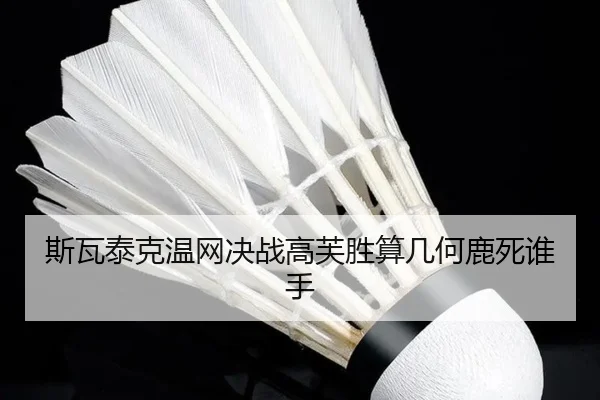 si-wa-tai-ke-wen-wang-jue-zhan-gao-fu-sheng-suan-ji-he-lu-si-shei-shou-2-274.jpg