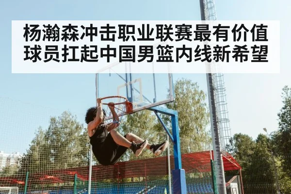 杨瀚森冲击职业联赛最有价值球员扛起中国男篮内线新希望